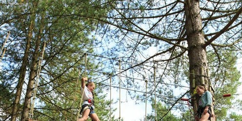 Shoe, Tree, Jumping, Woody plant, Playing sports, Knee, Forest, Trunk, Calf, Sneakers, 