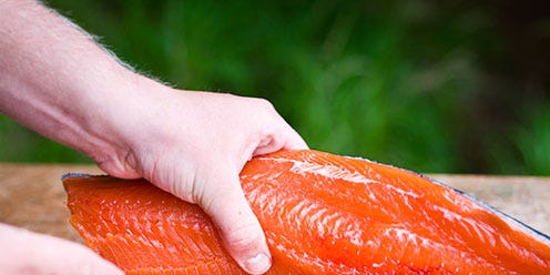 Finger, Food, Orange, Nail, Seafood, Ingredient, Salmon, Fish, Fish slice, Lox, Finger, Food, Orange, Nail, Seafood, Ingredient, Salmon, Fish, Fish slice, Lox,