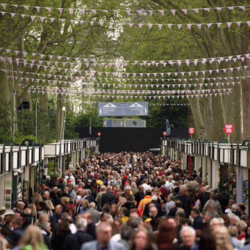 Crowd, People, Audience, Stage equipment, Stage, Public event, Spring, Groundcover, Blossom, Fan, 