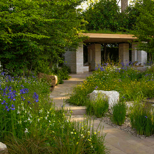 Plant, Shrub, Flower, Garden, House, Door, Groundcover, Flowering plant, Grass family, Subshrub, 