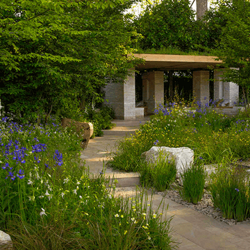 Plant, Shrub, Flower, Garden, House, Door, Groundcover, Flowering plant, Grass family, Subshrub, 