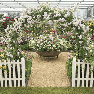 Plant, Shrub, Flower, Garden, Petal, Picket fence, Greenhouse, Yard, Spring, Annual plant, 