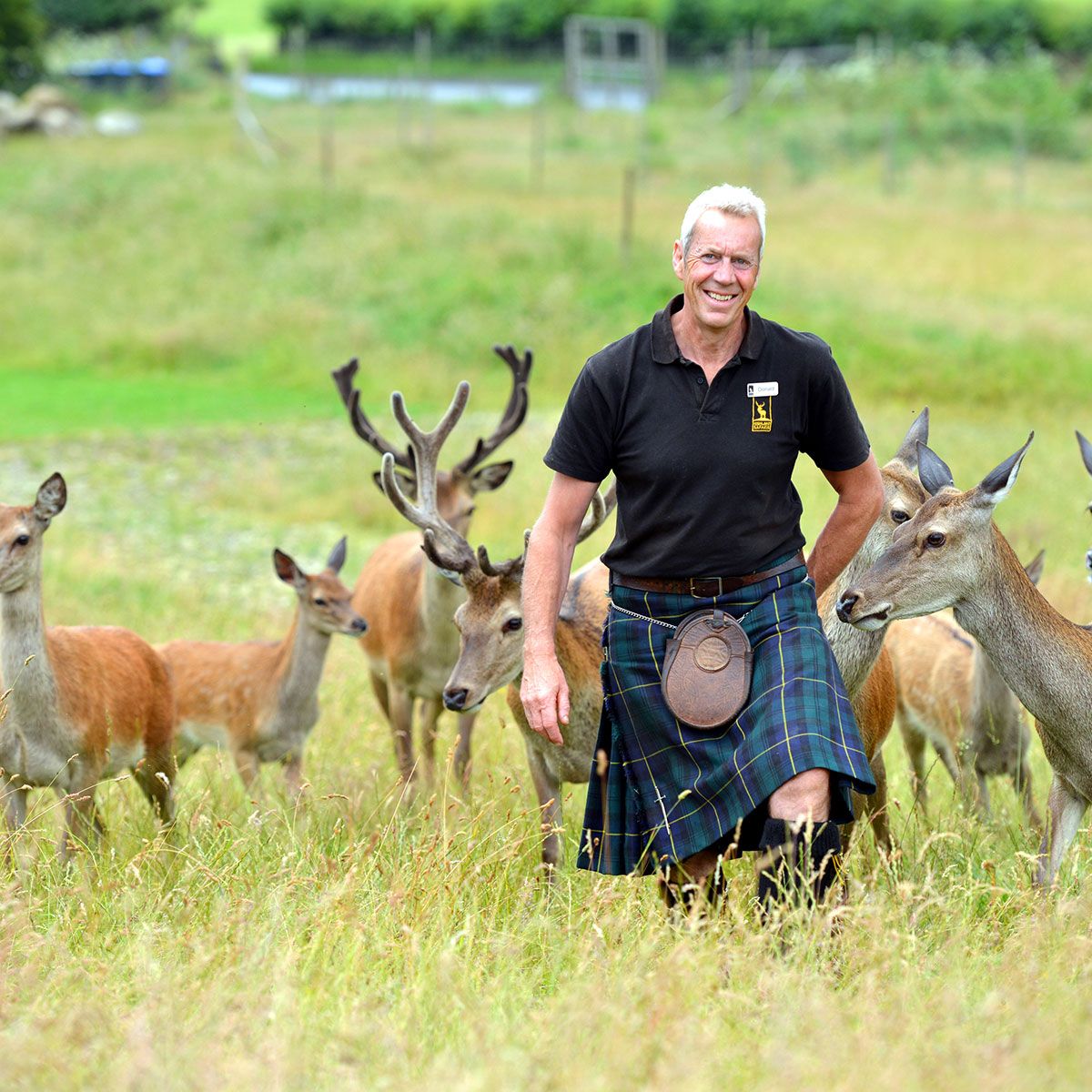 Human, Deer, Vertebrate, Organism, Antler, Mammal, Adaptation, Wildlife, Reindeer, Grassland, 