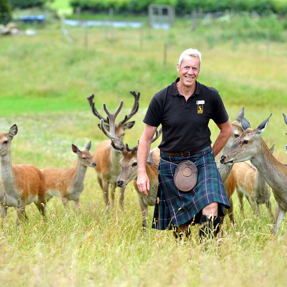 Human, Deer, Vertebrate, Organism, Antler, Mammal, Adaptation, Wildlife, Reindeer, Grassland, 