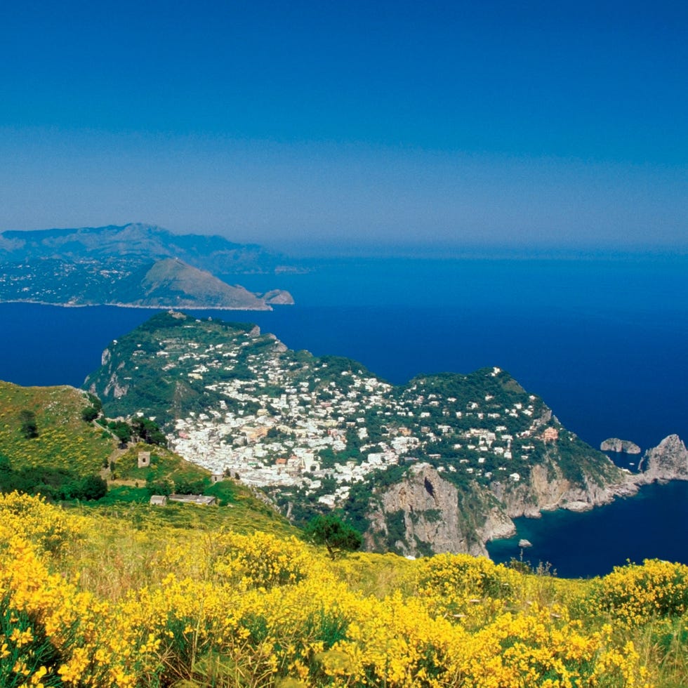 Vegetation, Coastal and oceanic landforms, Natural landscape, Coast, Landscape, Promontory, Azure, Island, Ocean, Sea, 