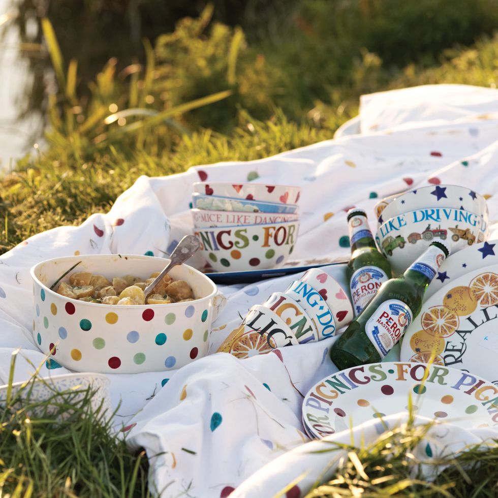 6 of the best retro picnic products - home accessories - Good Housekeeping