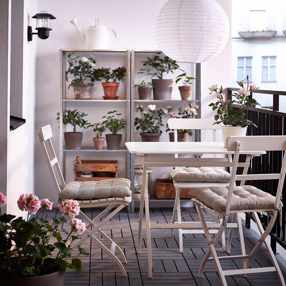 Plant, Interior design, Room, Flowerpot, Interior design, Home, Chair, Houseplant, Outdoor furniture, Hardwood, 