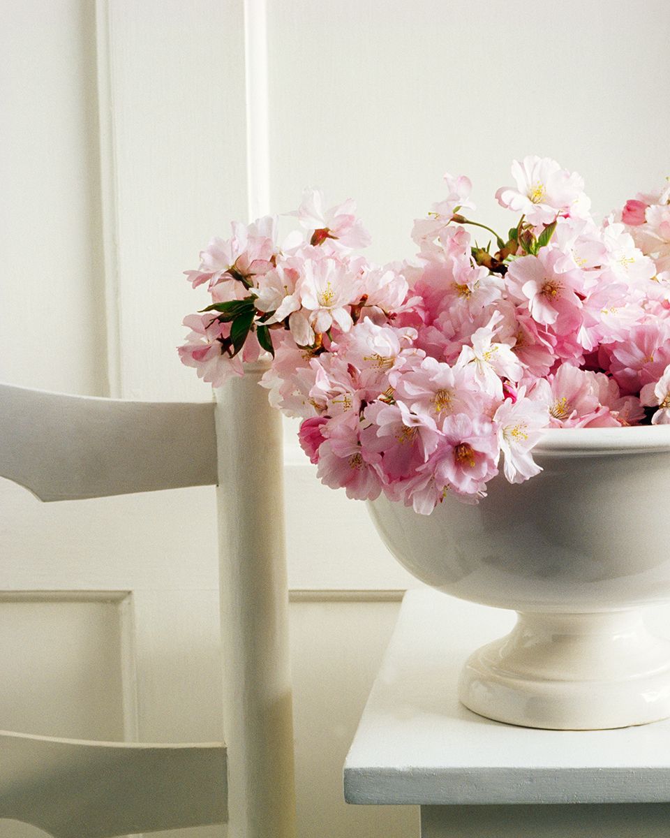 Petal, Flower, Serveware, Pink, Room, Cut flowers, Artifact, Interior design, Bouquet, Flower Arranging, 
