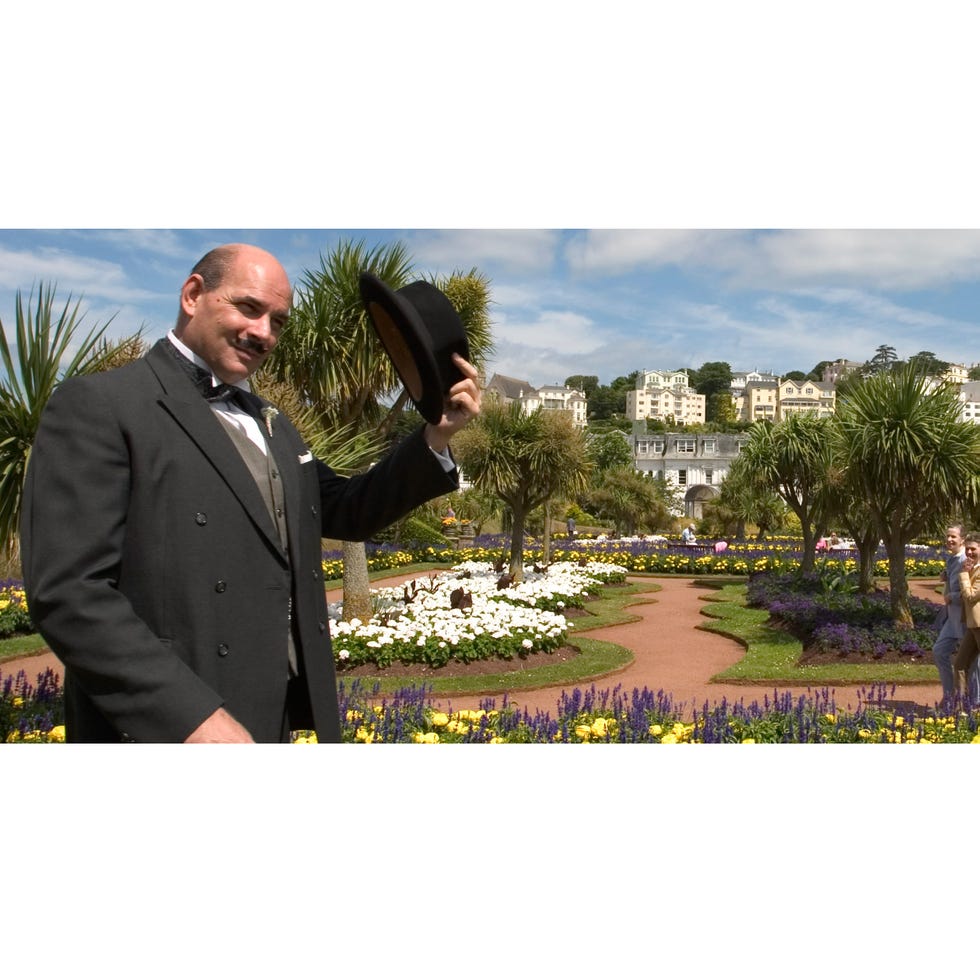 Suit, Botany, Shrub, Garden, Blazer, Arecales, Park, Beard, Palm tree, Landscaping, 