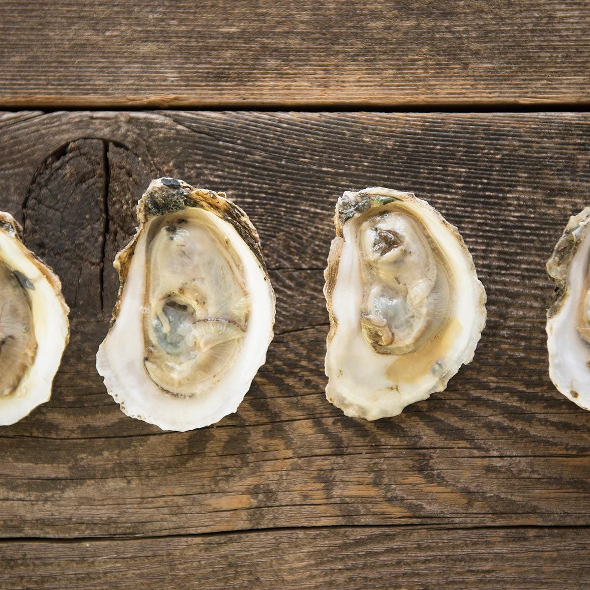 Oyster, Bivalve, Ingredient, Natural material, Seafood, Shellfish, Shell, Molluscs, Abalone, Delicacy, 