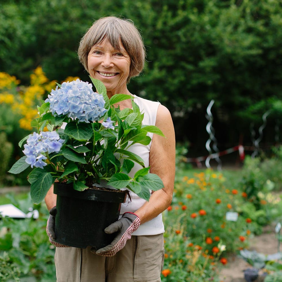 Human, Smile, Plant, Eye, Flower, Garden, Petal, Facial expression, Shrub, Bangs, 