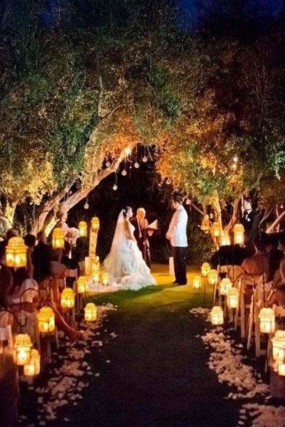 Lighting, Dress, Night, Bridal clothing, Petal, Wedding dress, Tradition, Bride, Ceremony, Bridal veil, 