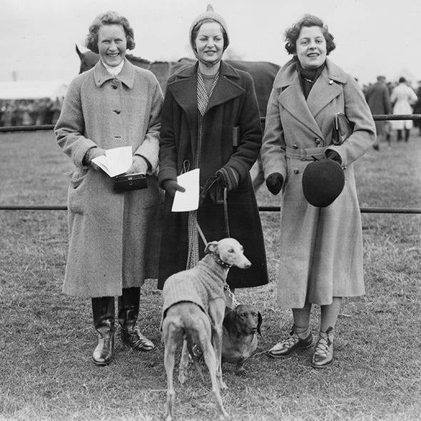 Footwear, Human, Dog breed, Dog, Carnivore, Standing, Mammal, Vintage clothing, Companion dog, Collar, 