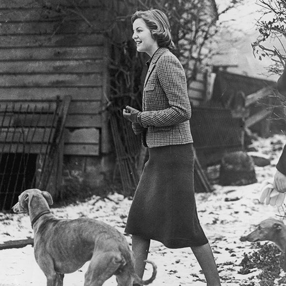 Dog breed, Photograph, Dog, Mammal, Style, Carnivore, Street fashion, Collar, Companion dog, Waist, 