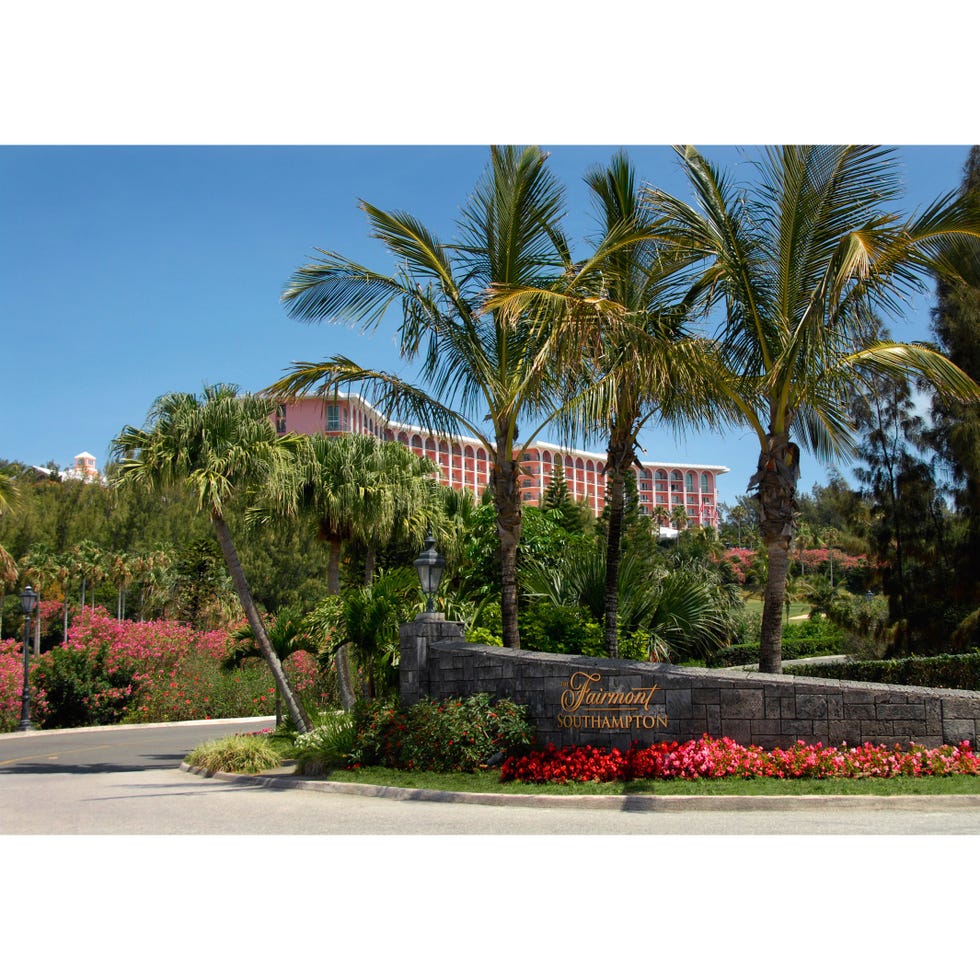 Plant, Shrub, Tree, Landscape, Garden, Arecales, Woody plant, Flowering plant, Landscaping, Palm tree, 