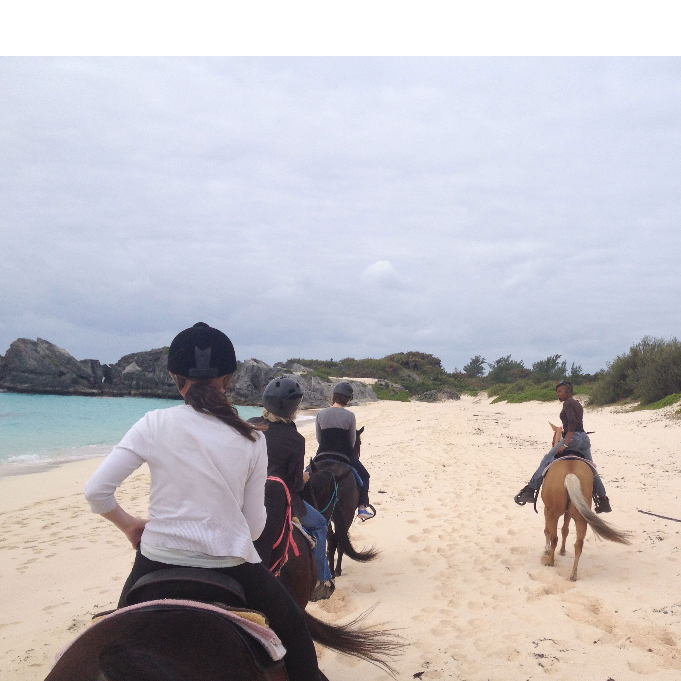 Human, Vertebrate, Working animal, Horse, Halter, Horse tack, Tourism, Saddle, Vacation, Rein, 