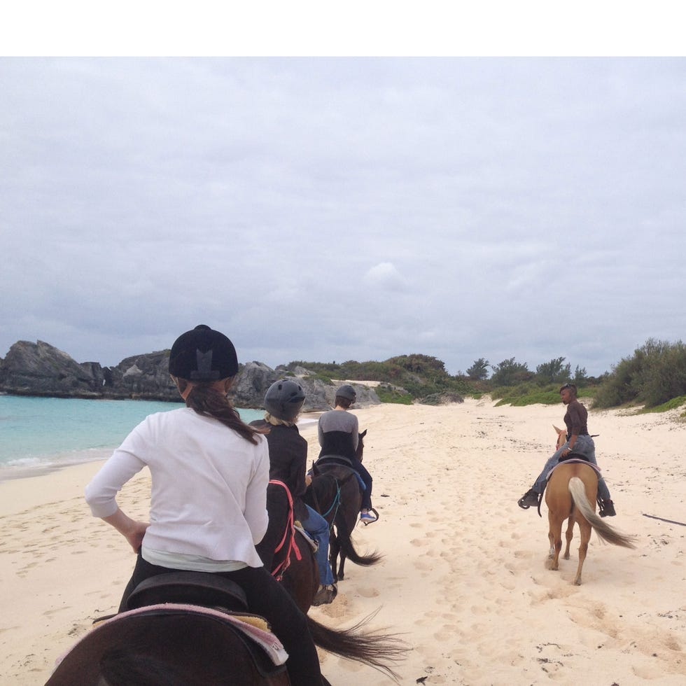 Human, Vertebrate, Working animal, Horse, Halter, Horse tack, Tourism, Saddle, Vacation, Rein, 