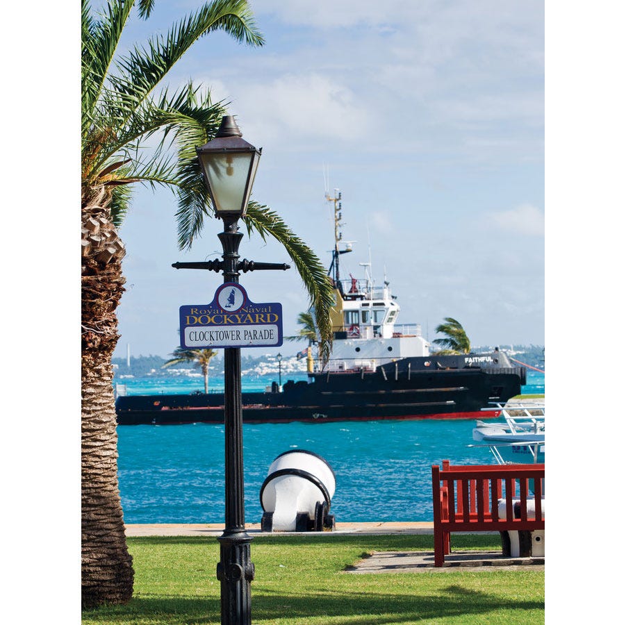 Watercraft, Coastal and oceanic landforms, Boat, Street light, Shore, Naval architecture, Water transportation, Palm tree, Ship, Arecales, 