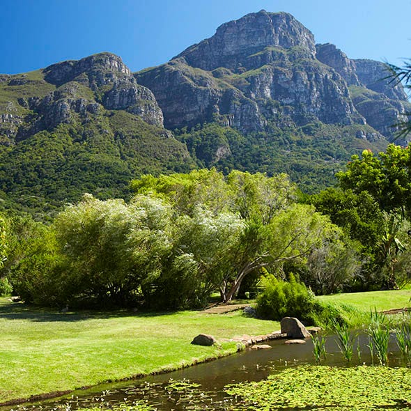 Vegetation, Plant, Mountainous landforms, Natural landscape, Mountain, Nature reserve, Hill, Grassland, Biome, Garden, 