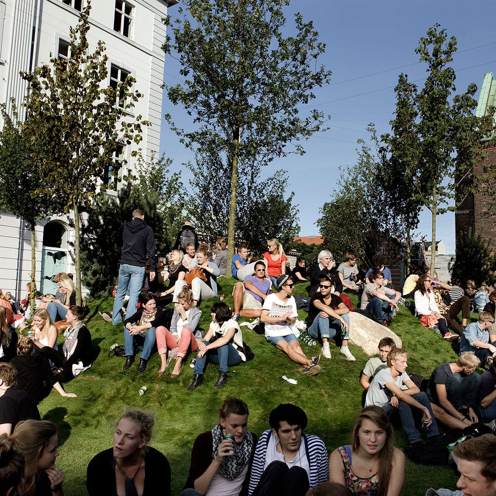 Hair, Mammal, Crowd, Lawn, Spring, Park, 