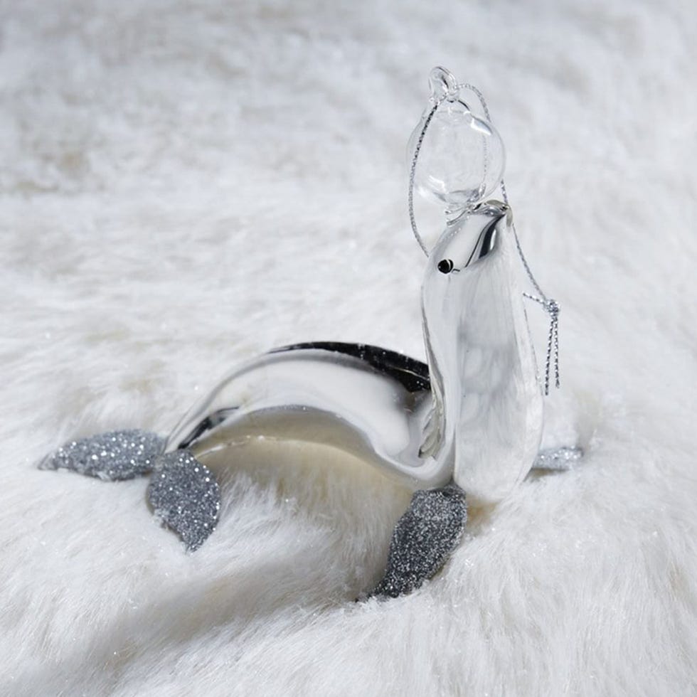 Snow, Freezing, Ice, Silver, Feather, Still life photography, Transparent material, 
