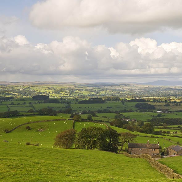 Cloud, Natural landscape, Plain, Landscape, Field, Land lot, Grassland, Rural area, Pasture, Ecoregion, 