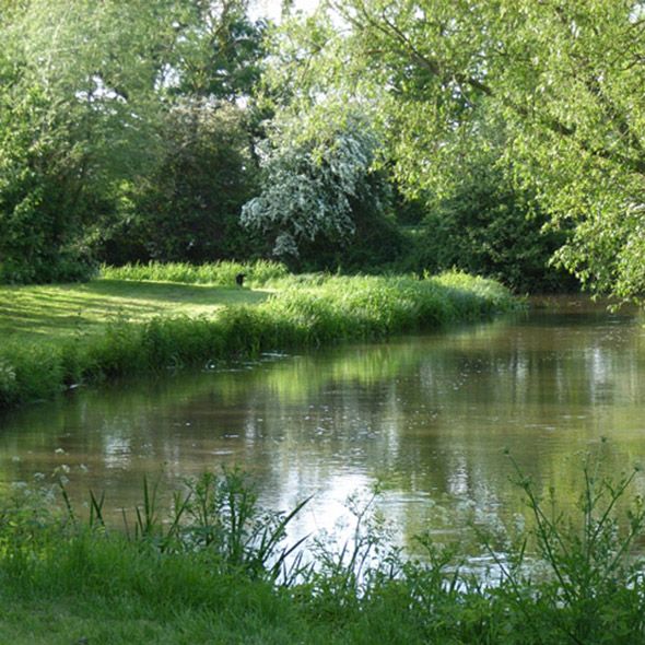 Body of water, Vegetation, Nature, Natural environment, Plant, Natural landscape, Water resources, Pond, Bank, Wetland, 