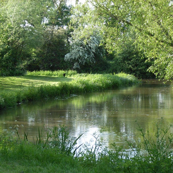 Body of water, Vegetation, Nature, Natural environment, Plant, Natural landscape, Water resources, Pond, Bank, Wetland, 