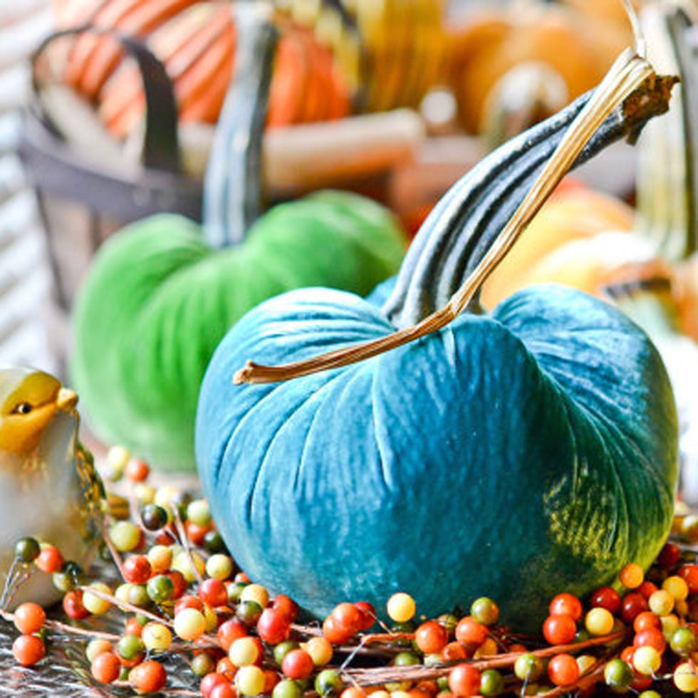 Orange, Whole food, Natural foods, Local food, Produce, Squash, Vegetable, Vegan nutrition, Ingredient, Calabaza, 