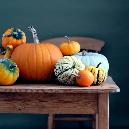 Squash, Vegan nutrition, Whole food, Local food, Calabaza, Natural foods, Orange, Vegetable, Produce, Winter squash, 
