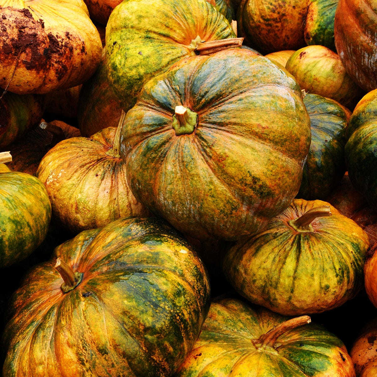 Whole food, Vegan nutrition, Local food, Green, Natural foods, Yellow, Vegetable, Public space, Produce, Ingredient, 