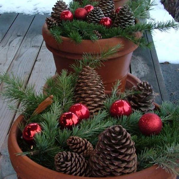 Outside sales christmas flowers