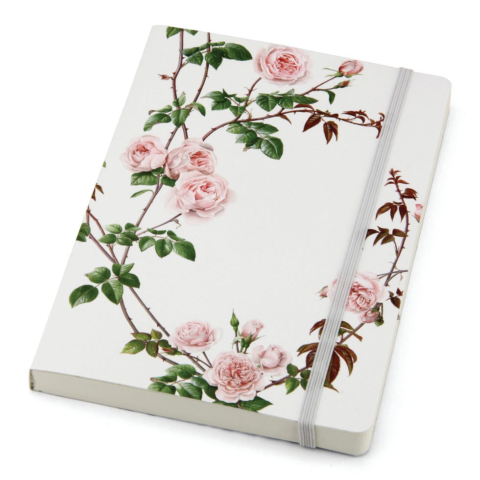 Petal, Flower, Pink, Flowering plant, Floral design, Rectangle, Rose, Rose family, Artificial flower, Rose order, 