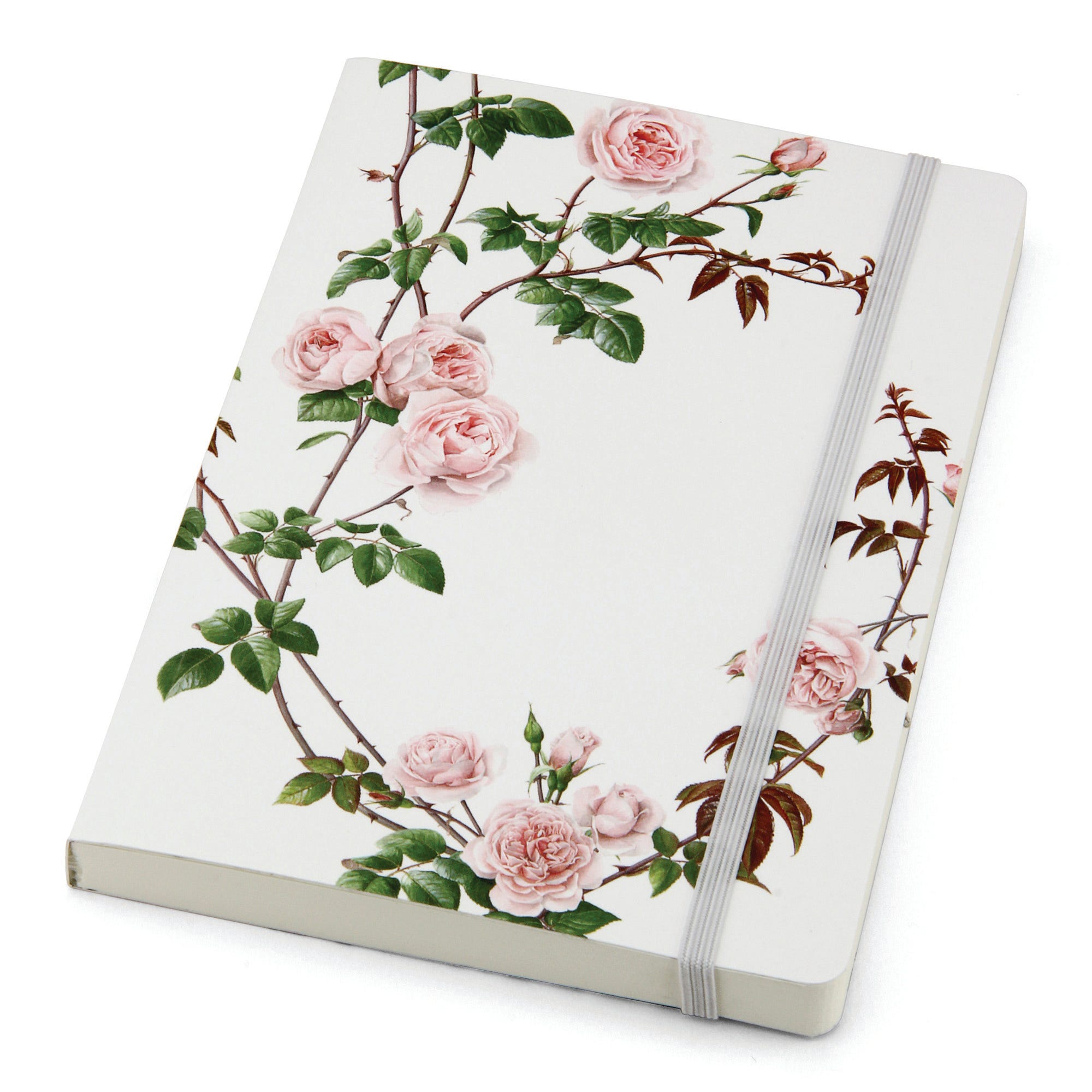 Petal, Flower, Pink, Flowering plant, Floral design, Rectangle, Rose, Rose family, Artificial flower, Rose order, 