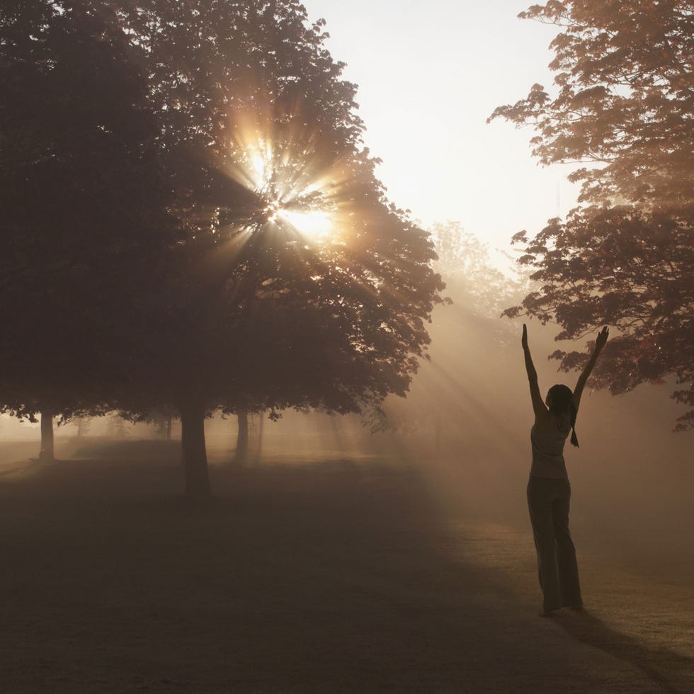 Sun, Atmospheric phenomenon, Tree, People in nature, Backlighting, Sunlight, Light, Sunrise, Morning, Tints and shades, 