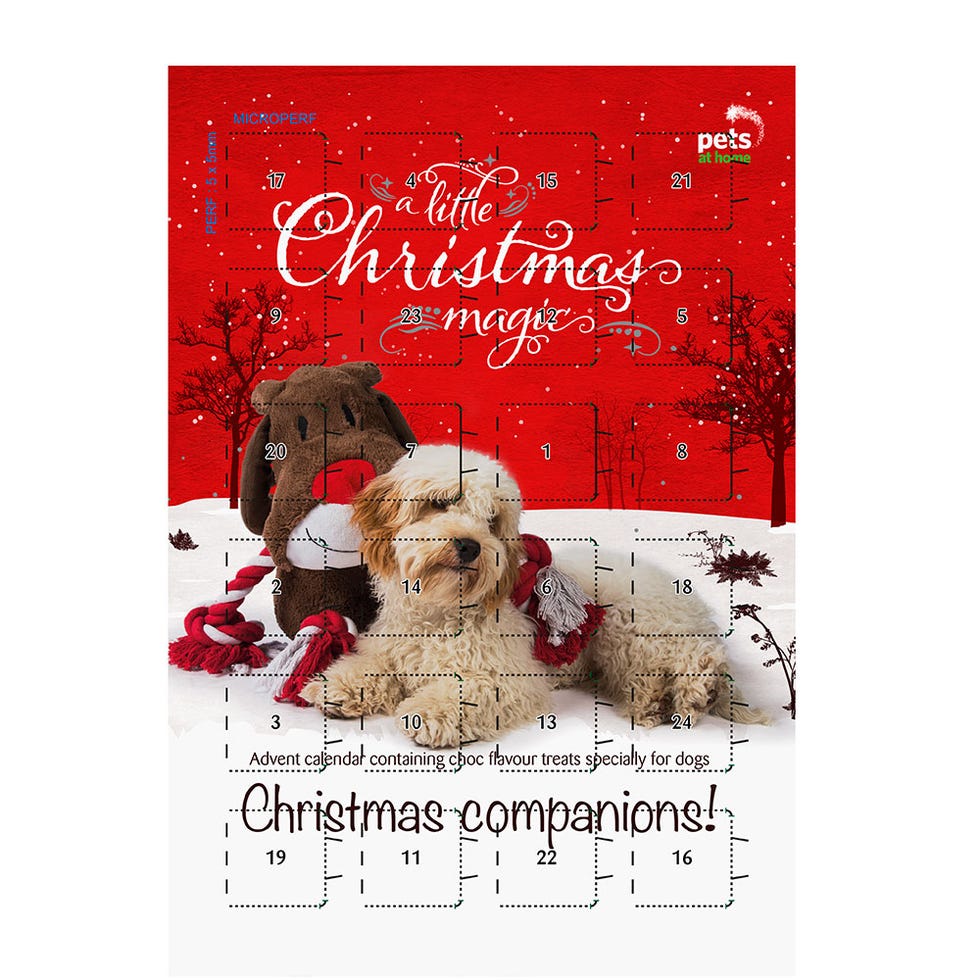 Dog breed, Dog, Carnivore, Font, Companion dog, Holiday, Sporting Group, Toy dog, Snout, Canidae, 