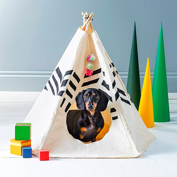 Colorfulness, Cone, Party hat, Triangle, Games, 
