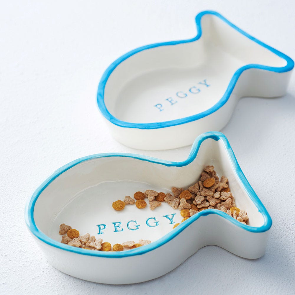 Ingredient, Aqua, Dishware, Kitchen utensil, Breakfast, Bowl, Plastic, Ceramic, Porcelain, Superfood, 