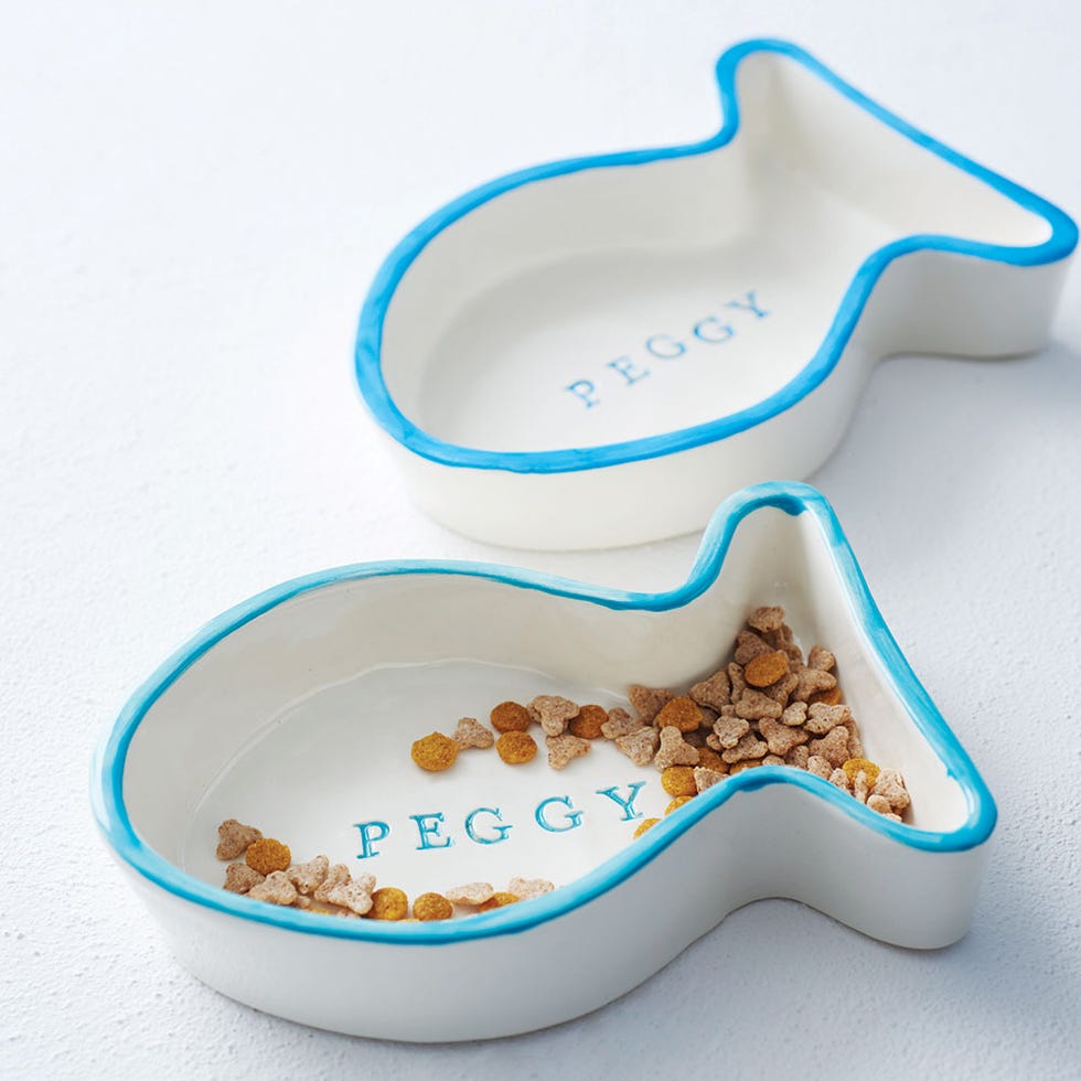 Ingredient, Aqua, Dishware, Kitchen utensil, Breakfast, Bowl, Plastic, Ceramic, Porcelain, Superfood, 
