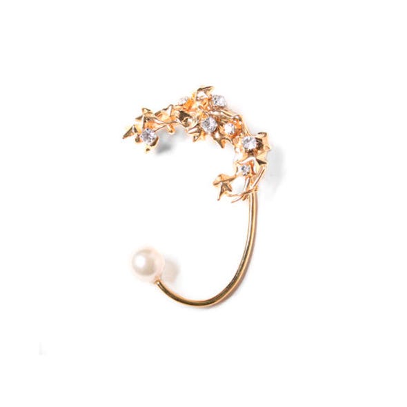 Jewellery, Amber, Body jewelry, Beige, Natural material, Earrings, Metal, Gold, Gemstone, Silver, 