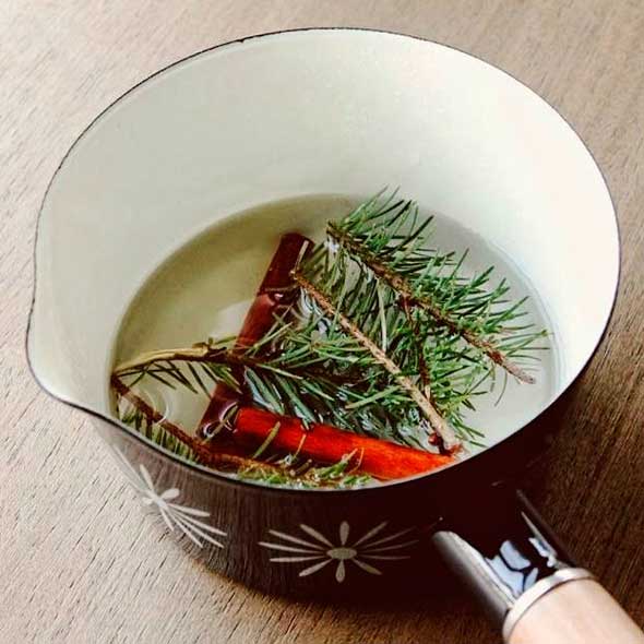 Dishware, Leaf, Serveware, Ingredient, Kitchen utensil, Conifer, Cutlery, Pine family, Pine, Fir, 