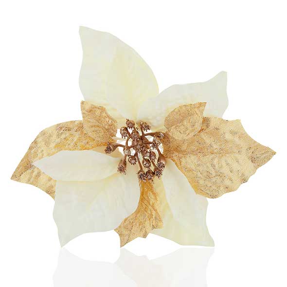 Petal, White, Costume accessory, Cut flowers, Flowering plant, Beige, Artificial flower, Natural material, Fashion design, Still life photography, 