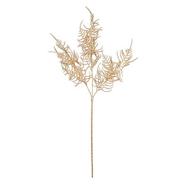 Leaf, Botany, Terrestrial plant, Flowering plant, Twig, Grass family, Beige, Plant stem, Vascular plant, Annual plant, 