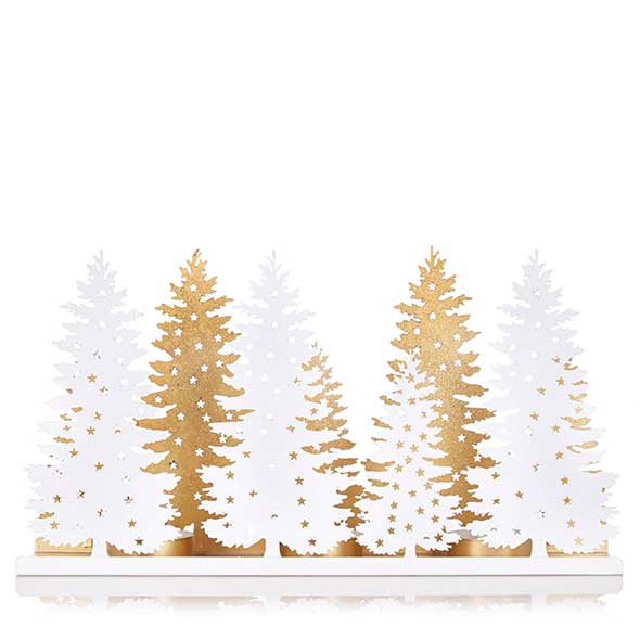 Branch, Winter, Leaf, Twig, Woody plant, Evergreen, Freezing, Larch, Plant stem, Pine family, 