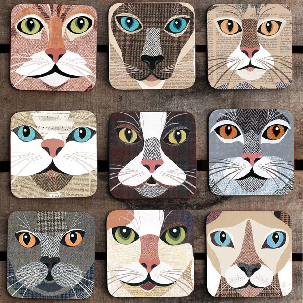 Vertebrate, Carnivore, Line, Whiskers, Felidae, Iris, Orange, Pattern, Art, Snout, 