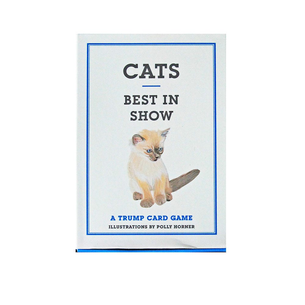 Carnivore, Felidae, Terrestrial animal, Small to medium-sized cats, Paw, Tail, Whiskers, Snout, Cat, Collar, 