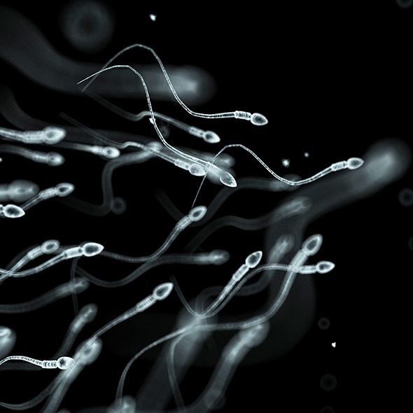 Darkness, Monochrome, Black, Art, Black-and-white, Monochrome photography, Graphics, Illustration, Smoke, Drawing, 