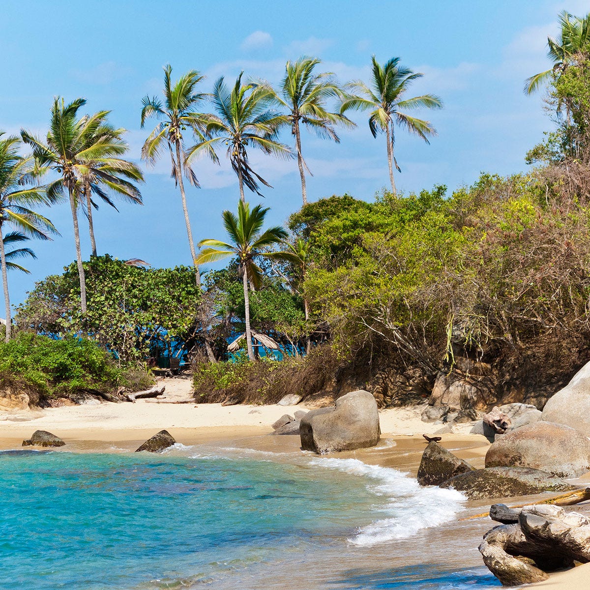 Body of water, Sky, Coastal and oceanic landforms, Shore, Tree, Coast, Arecales, Beach, Woody plant, Tropics, 