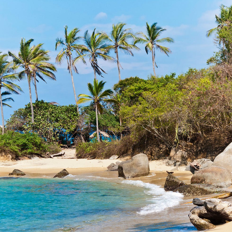 Body of water, Sky, Coastal and oceanic landforms, Shore, Tree, Coast, Arecales, Beach, Woody plant, Tropics, 