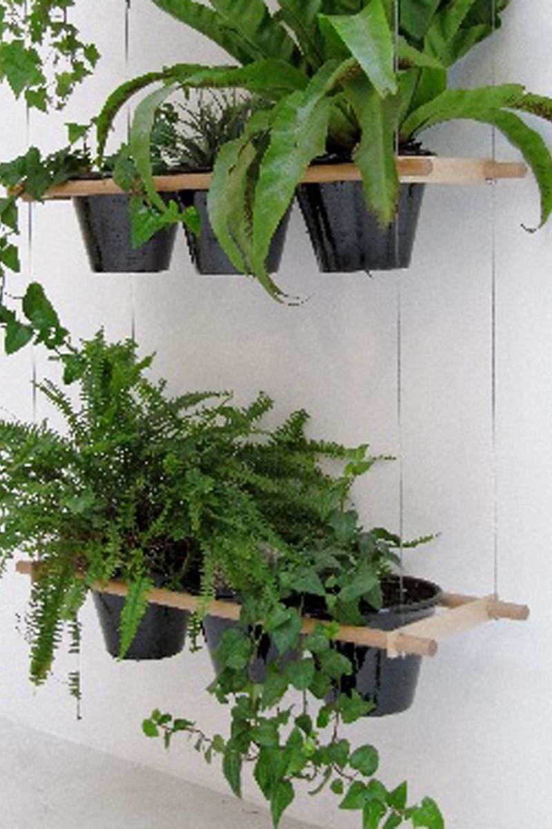 Branch, Leaf, Flowerpot, Botany, Plant stem, Terrestrial plant, Herb, Twig, Houseplant, Interior design, 